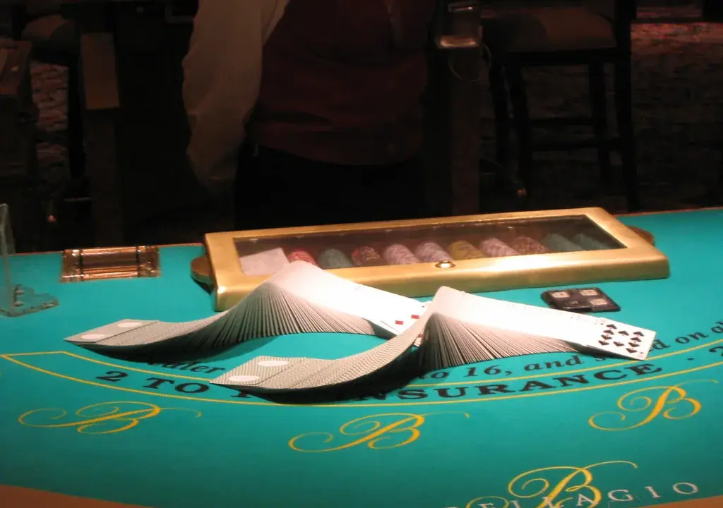 Live Casino table ও dealer দৃশ্য